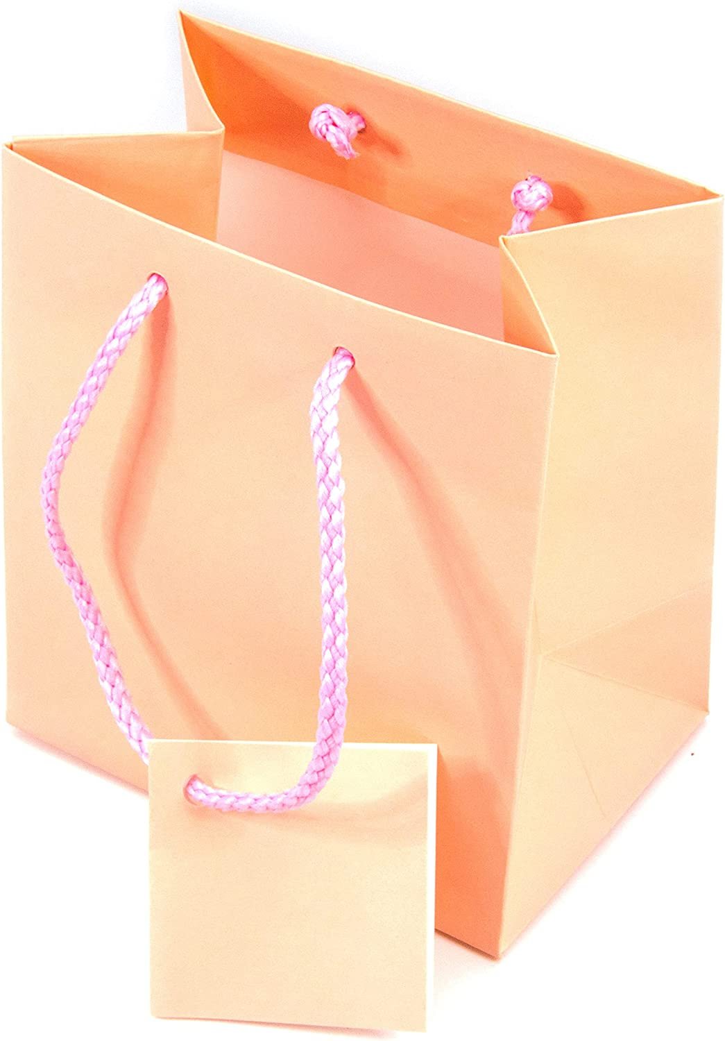 10 Bags – Matte Pink Paper Tote Gift Bags – Birthdays/Holidays/Parties/Gifts/Showers/and more.