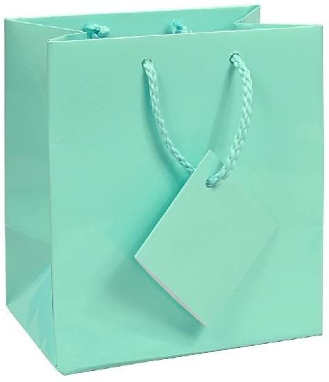 N'ice Packaging 10 pcs Tiny Fancy Robin's Egg Blue Glossy Finish Shopping Paper Gift Sales Tote Bags with Blank Message Tag 3" x 2" x 3.5"